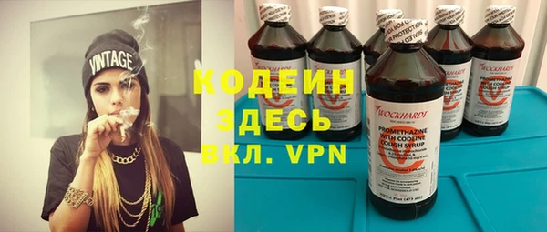 индика Абаза