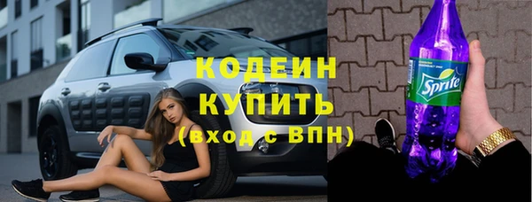 хмурый Осинники