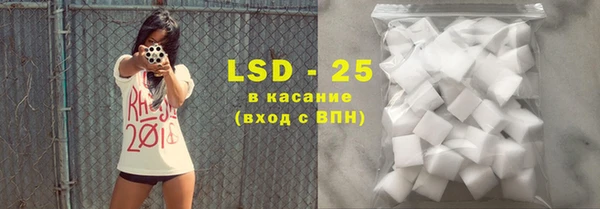 индика Абаза