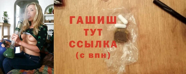 индика Абаза