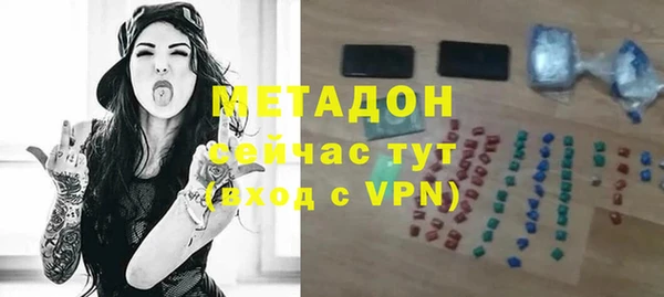 индика Абаза
