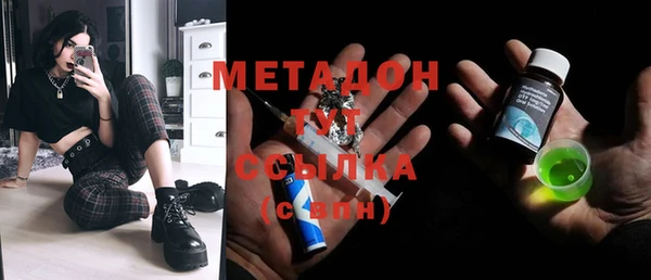 индика Абаза