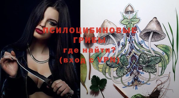 стаф Абдулино