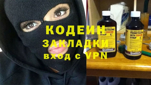 индика Абаза