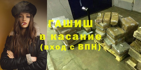 индика Абаза