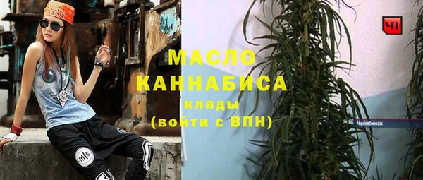 индика Абаза