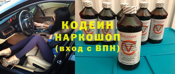 индика Абаза