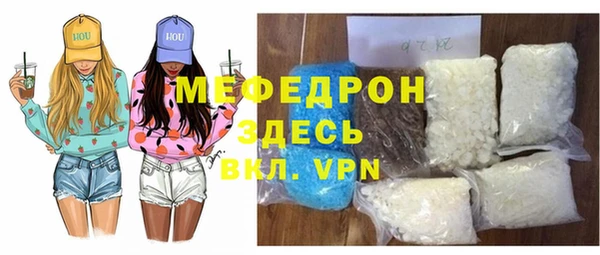индика Абаза