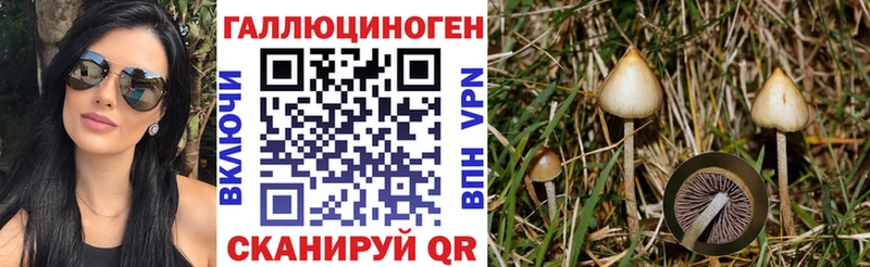 Псилоцибиновые грибы мицелий  цены   Чита 