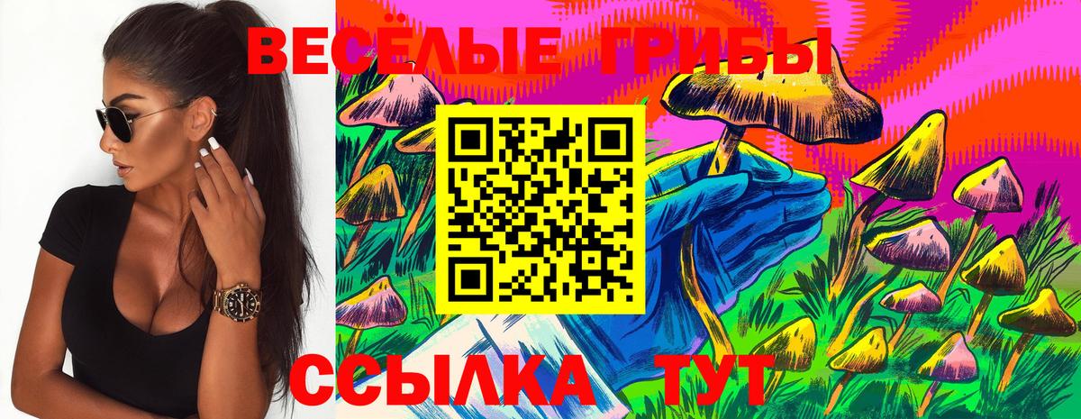 Псилоцибиновые грибы Magic Shrooms Чита