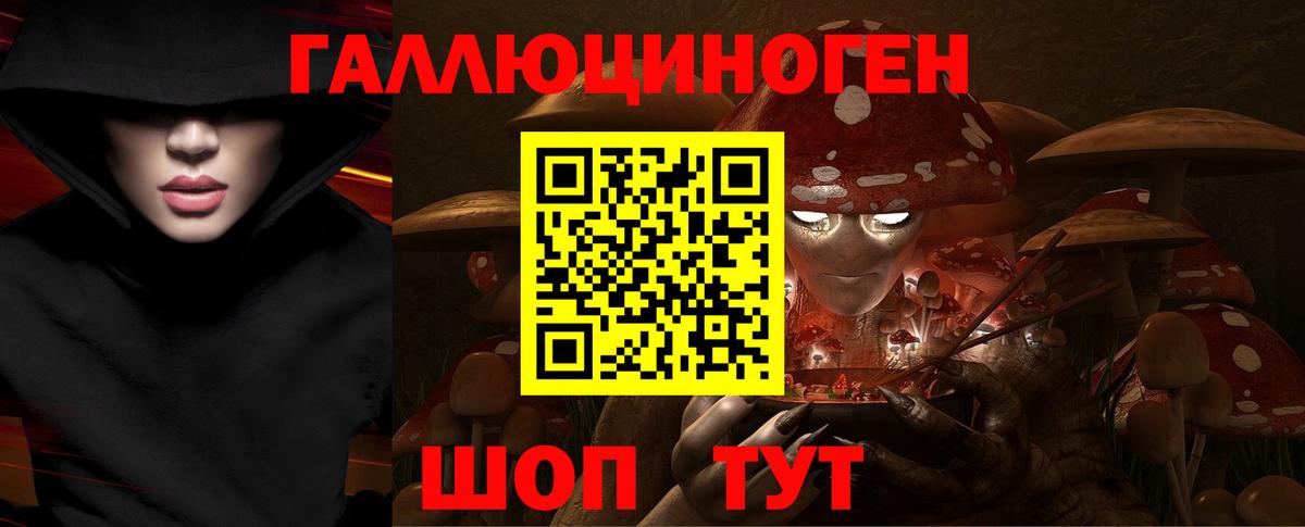 дарнет шоп  Вход с VPN  Чита  Псилоцибиновые грибы Psilocybine cubensis 